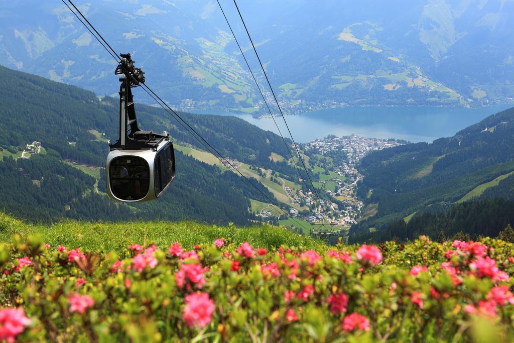 Alpenparks Zell Am *